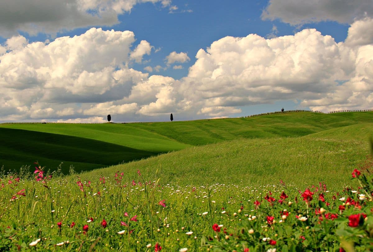 Background